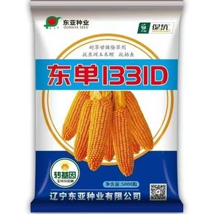 辽宁东亚小钢炮东单1331D转基因双抗玉米种子矮杆抗旱抗倒苞米种