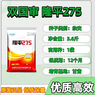 隆平275玉米种子高产玉米种子原装正品双胞胎农科院高产玉米种子