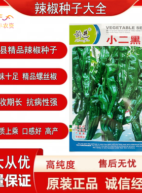 前进小二黑全螺麻面螺丝椒种子 特大薄皮肉厚特顺直陇椒辣椒种子