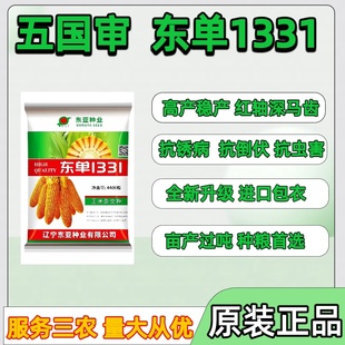 辽宁东亚国审东单1331玉米种子小钢炮玉米种子高产抗锈病原装 正品