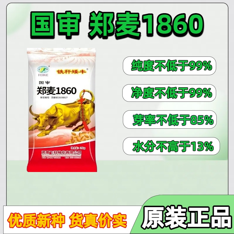 郑麦1860高产小麦种子矮杆大穗抗病抗倒角质粮黄金麦小麦原种批发