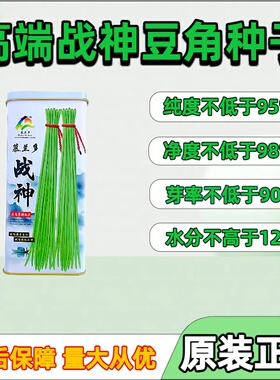高端战神高产豇豆种子架豆角长豆种籽翠绿条四季豆角菜农专用豇豆