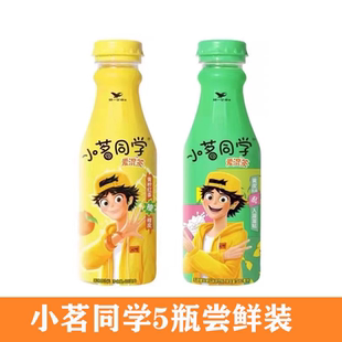 包邮 统一小茗同学5瓶装 多省 尝鲜装 溜溜哒青柠红茶调味茶饮料瓶装