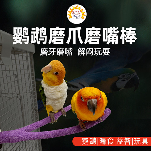 鹦鹉磨爪磨嘴棒牡丹玄凤鸟站棒棍