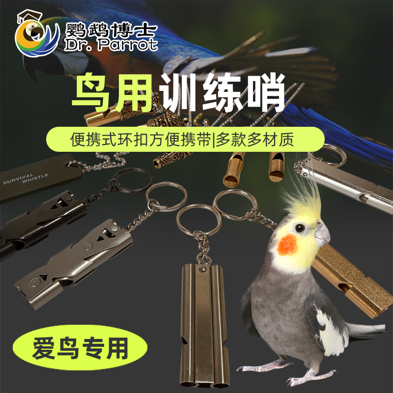 鹦鹉训练户外放飞信鸽口哨
