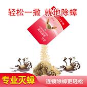 蟑螂药呋虫胺杀蟑饵剂家用蟑螂药粉非无毒轻松使用有新疆 包邮