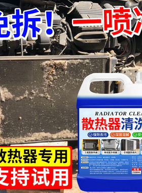 汽车水箱散热器清洗剂空调外机翅片冷凝器散热网货车除油垢清洁#