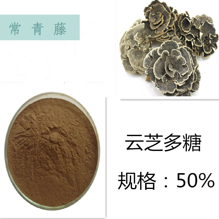 云芝多糖30P%云芝糖肽 云芝提取物 云芝精华粉 赠送量勺