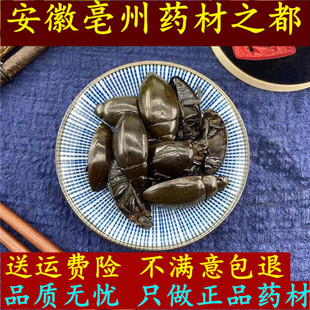 龙虱中药材龙虱500g克包邮 水鳖虫 射尿龟 新货纯龙虱干货