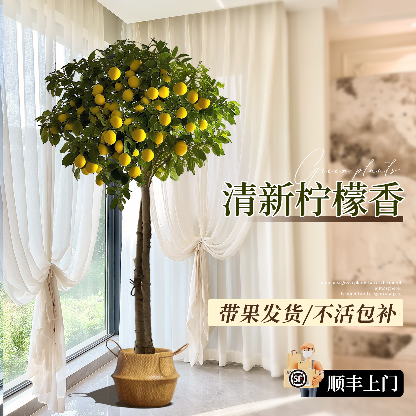 客厅盆栽带果香水柠檬树绿植大型植物室内阳台绿植四季好养除甲醛