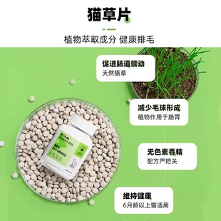 3瓶 红狗维生素B族猫草片猫狗营养补充200片 达人专属