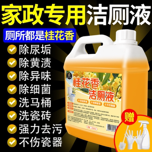 洁厕灵强力除垢除臭清香型液马桶清洁剂洗厕所强力去污官方旗舰店