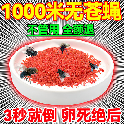 强效灭苍蝇蚊子特药家用饭