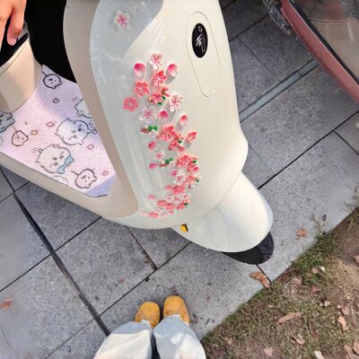 春日桃花贴~3d立体车贴电