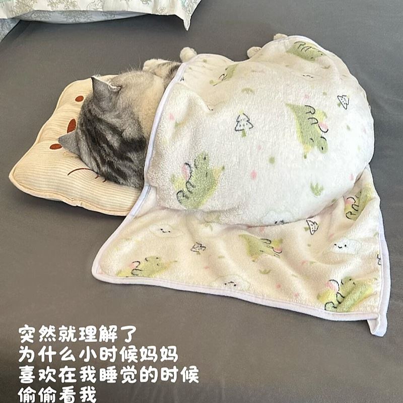 【宝宝睡觉好物】猫猫枕头猫咪垫子夏季睡觉猫床宠物2025新款透气