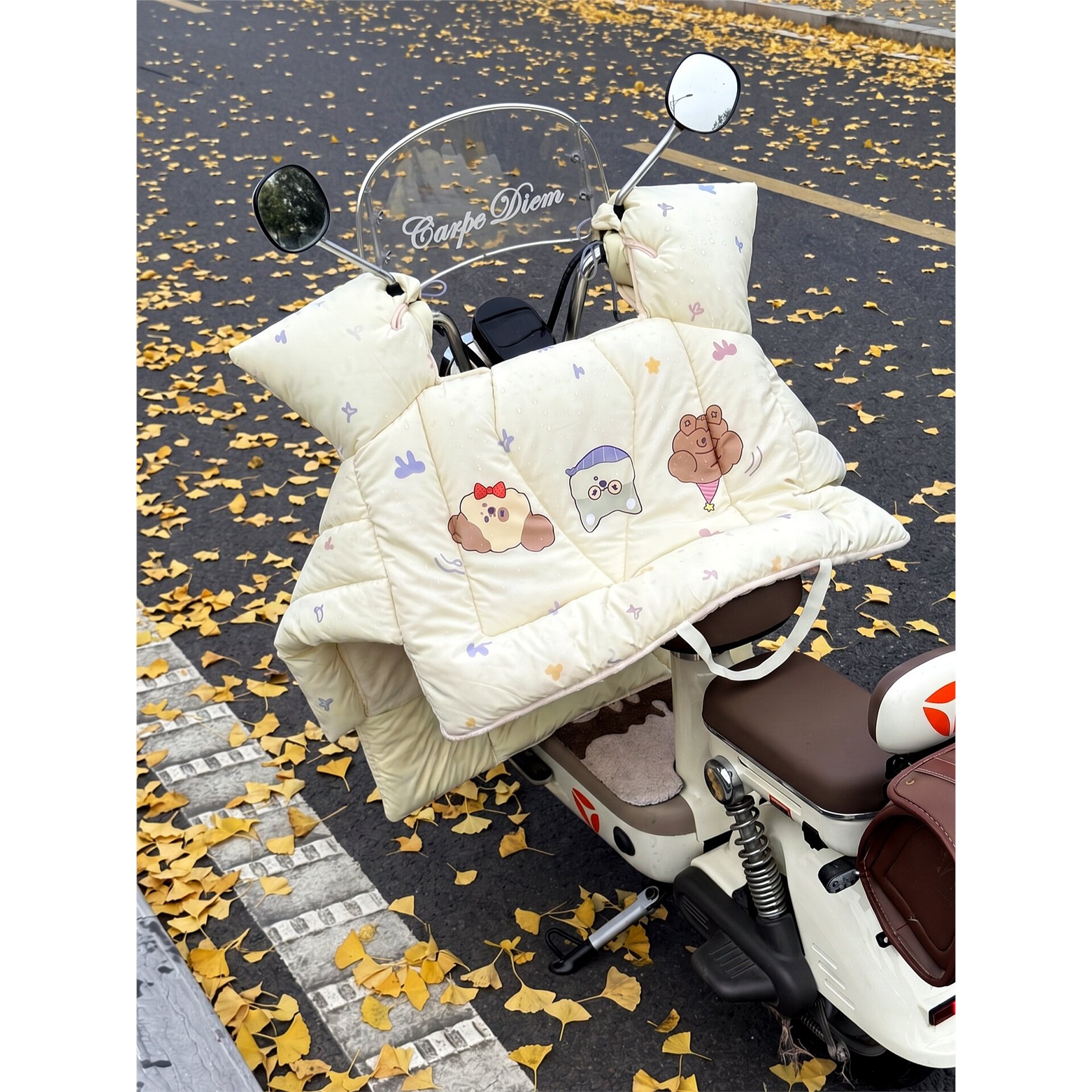 可爱电动车挡风被冬季防