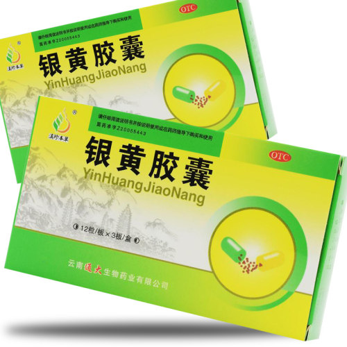 【滇珍本草】银黄胶囊0.3g*36粒/盒咽喉炎清热咽炎清热解毒发热