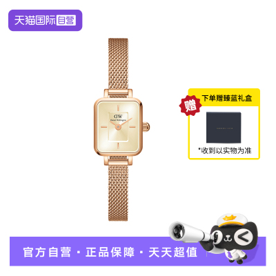 DW手表女款轻奢小众高级感正品