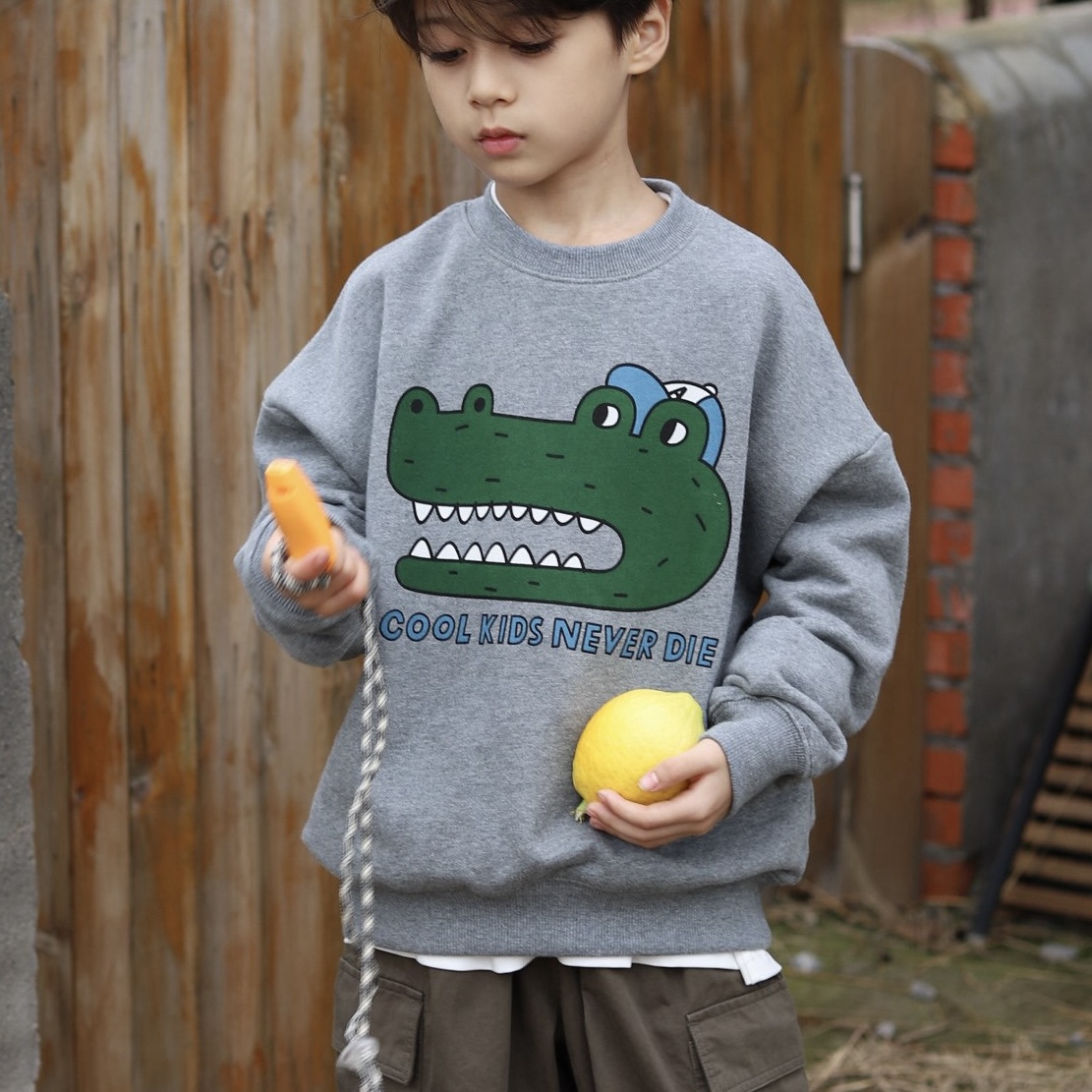 张恩朵童装男童棉毛圈圆领卫衣秋冬季小鳄鱼印花男孩套头长袖上衣