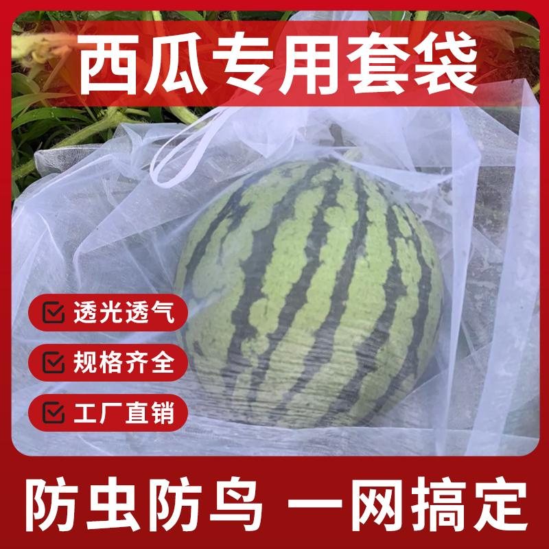 西瓜套袋专用袋防虫防鸟神器网纱果袋香瓜哈密瓜果蔬户外保护套袋