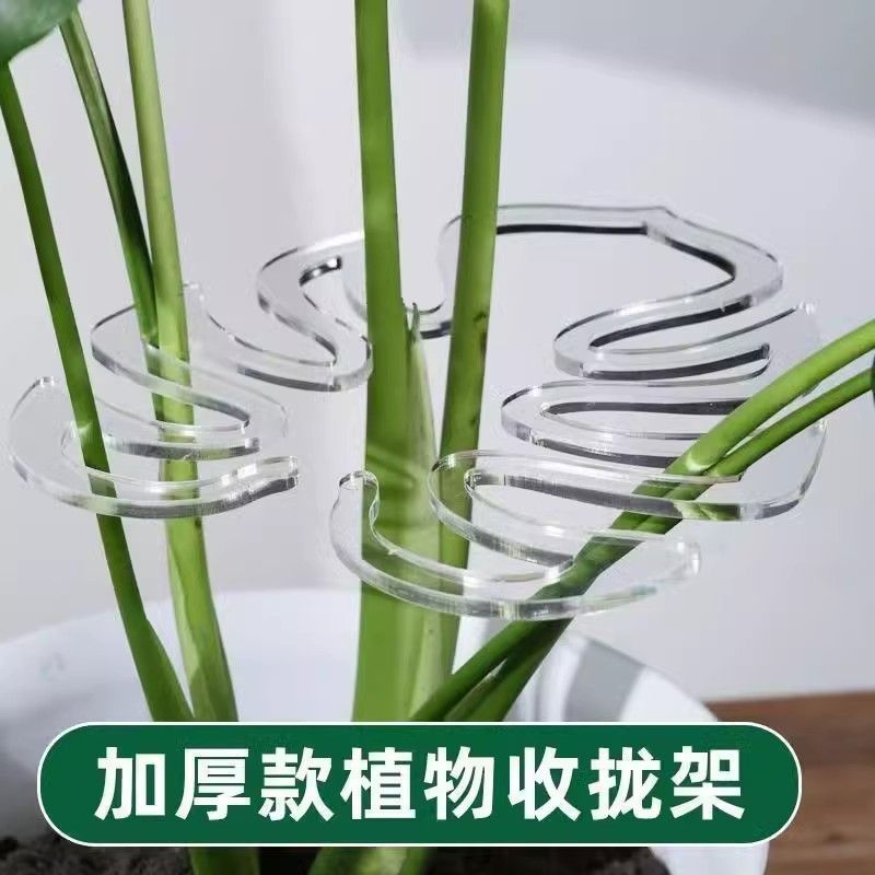 植物花架绿植龟背竹支撑杆防倒伏春雨支架金钱树固定器花卉支撑架