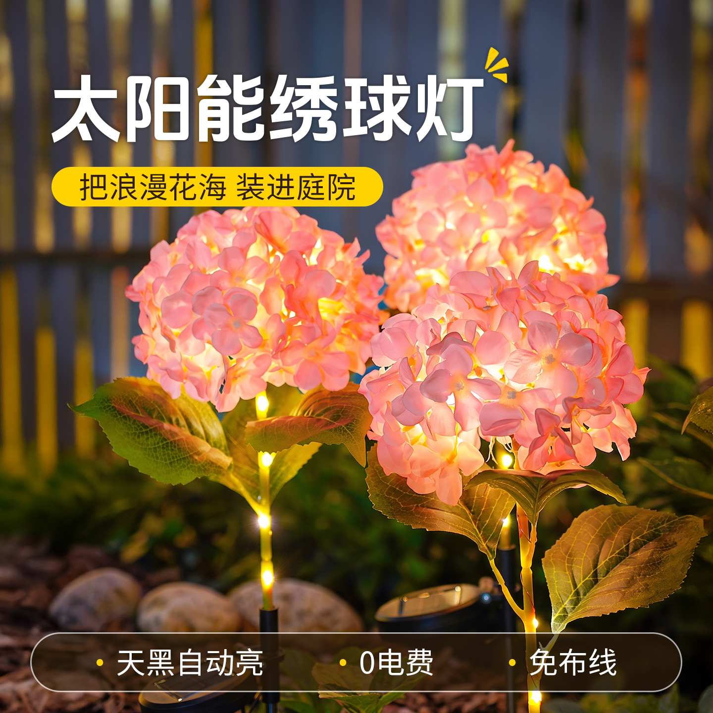 72朵花瓣庭院氛围更温馨图片