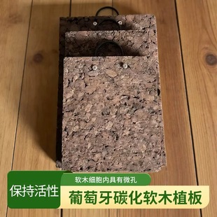 软木碳化板鹿角蕨挂板石斛背板苔藓上板植物板植软木板家用木背板