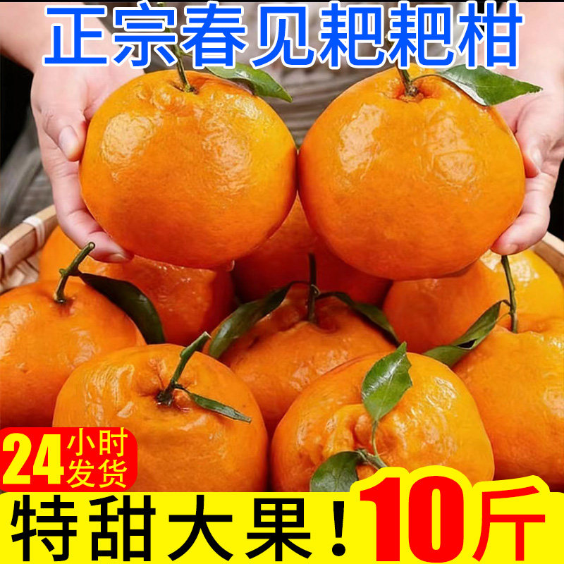春见橘子新鲜耙耙柑10斤蜜橘桔子当季时令应季水果整箱柑橘