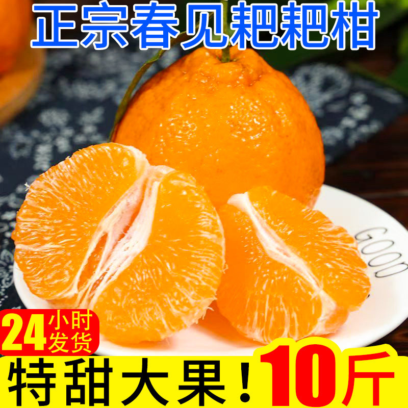耙耙柑春见橘子新鲜橘子10斤蜜橘桔子当季时令应季水果整箱柑橘,水产肉类/新鲜蔬果/熟食,桔子,淘宝优惠券,粉丝福利购,淘宝优惠卷
