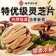 南京同仁堂灵芝片官方店正品 500g独立切片泡酒泡水喝泡茶喝中药材