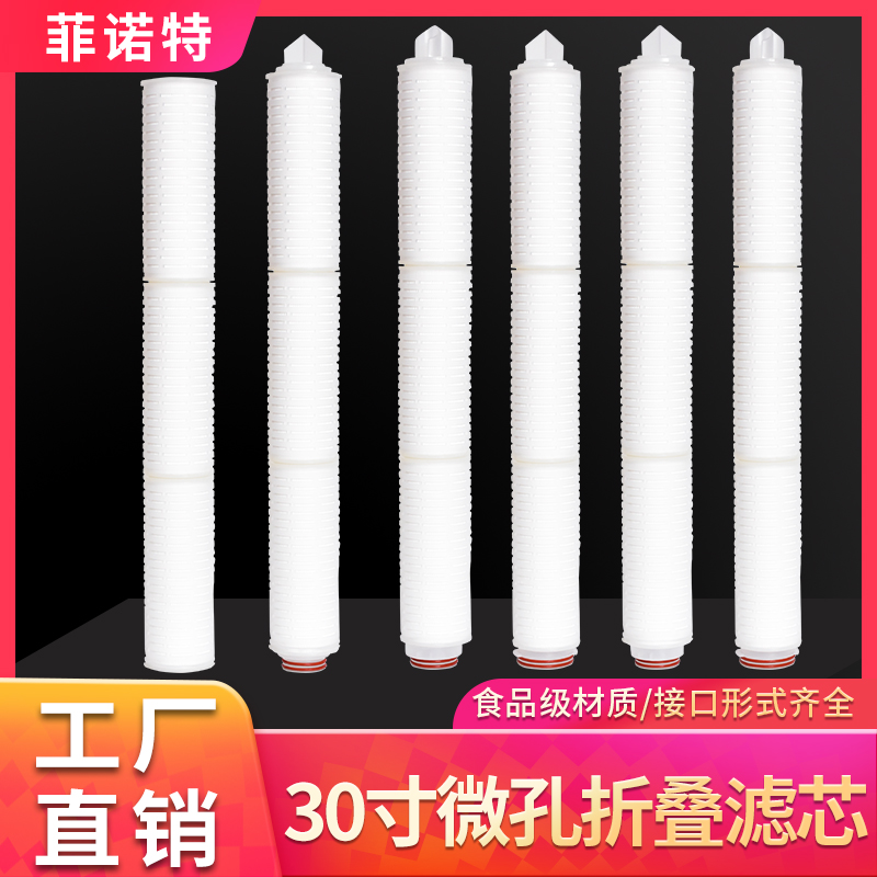 30寸微孔保安精密插入式折叠滤芯