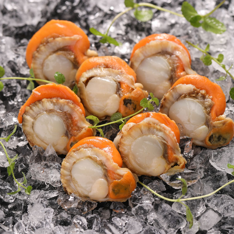 【海唤换购】带黄超大扇贝肉500g 单只3-5cm