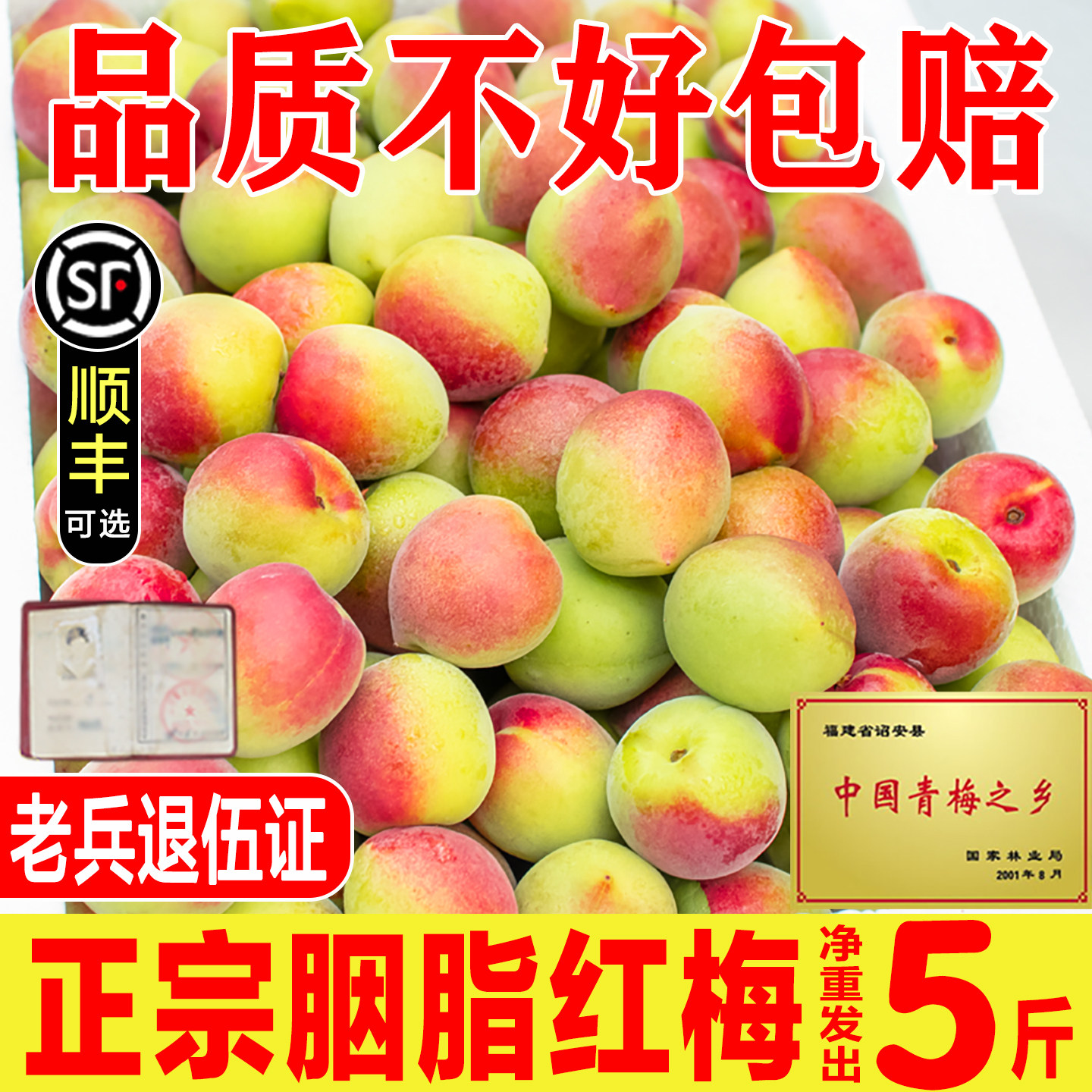 胭脂红梅青梅鲜果云南胭脂梅现摘泡酒5斤红梅酵素鲜梅子酸水果