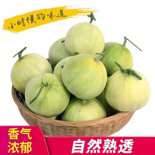 青岛莱西马连庄新鲜水果甜瓜葵小杰脆甜瓜时令水果香瓜甜宝蜜宝王