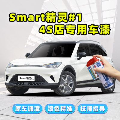 Smart精灵一号补漆笔车漆自喷漆