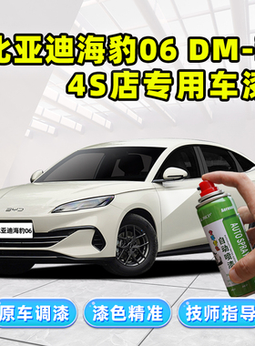 适用比亚迪海豹06dmi补漆笔暖色烟茶自喷漆灰色绿色雪域白色车漆