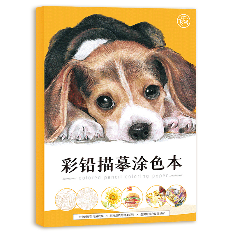 彩铅描摹涂色本 彩铅上色详细教程 高清线稿 240g彩铅绘画专用纸