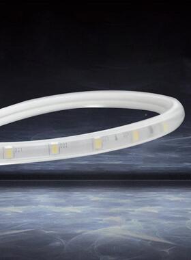 6珠中性光灯带户外防水柔性L656ED内2装饰灯条45v3室6v127v红色绿