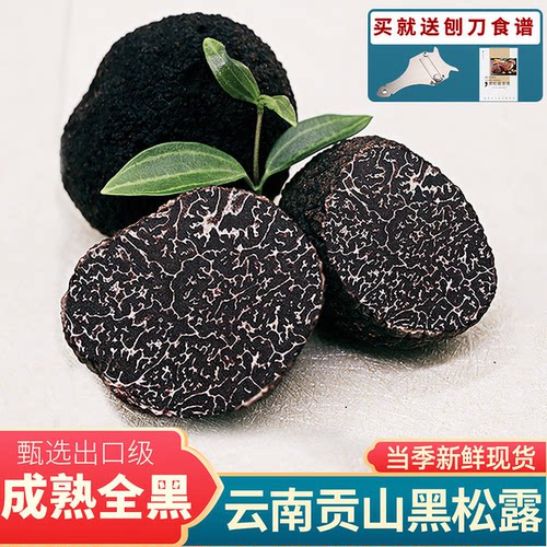 世庆堂新鲜黑松露菌云南贡山块菌