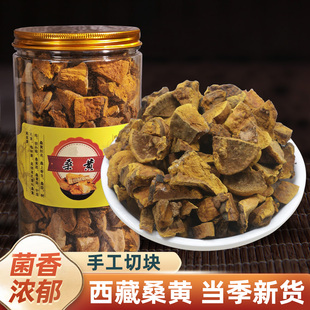 西藏桑黄切片250g中药材料药食同源泡茶泡水老桑树桑黄野生灵芝菌