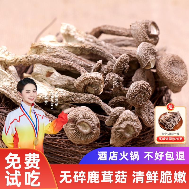 鹿茸菇干货500g云南特产野生菌菇
