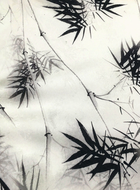 一米价 白色提花底黑色竹子图案时装面料 春季 连衣裙 服饰 布料