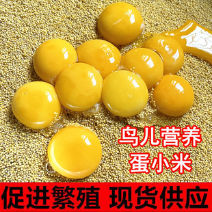 蛋小米鸡蛋米鸟无壳黄小米促进繁殖营养粮雏鸟断奶专用高营养繁殖