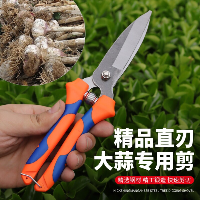 大蒜专用剪刀剪蒜神器专用剪洋葱蒜头须杆根生姜电动农用剪蒜剪子