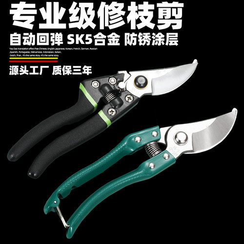 修枝剪园艺园林剪刀果树修枝剪