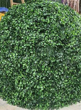 厂家供应绿色仿真树米兰草系列造型盆栽方块米兰草篱笆定做