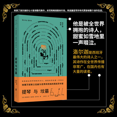 【官方正版】提琴与坟墓:洛尔迦诗选 费德里科·加西亚·洛尔迦 西班牙诗人 外国经典文学诗歌类畅销书籍 七十首诗歌代表作