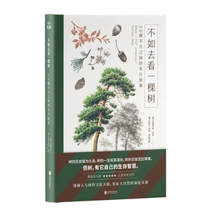 非凡故事探秘人与树 正版 不如去看一棵树：26棵平凡之树 自然科普书籍 现货 文化关联