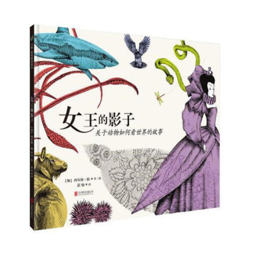 动物影子价格 动物影子图片 星期三