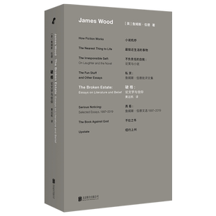 正版包邮 破格 小说机杼作者詹姆斯·伍德首部文学评论集 全新视角风趣犀利点评契科夫福楼拜等22位西方经典小说大师 外国文学评论
